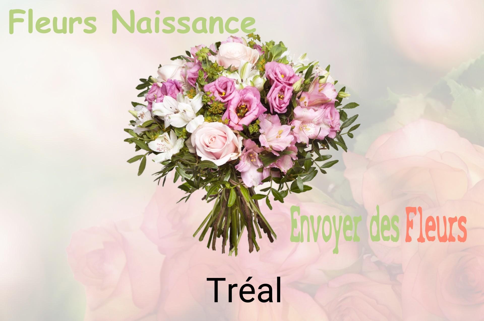 Bouquet de fleurs de naissance livré à Tréal