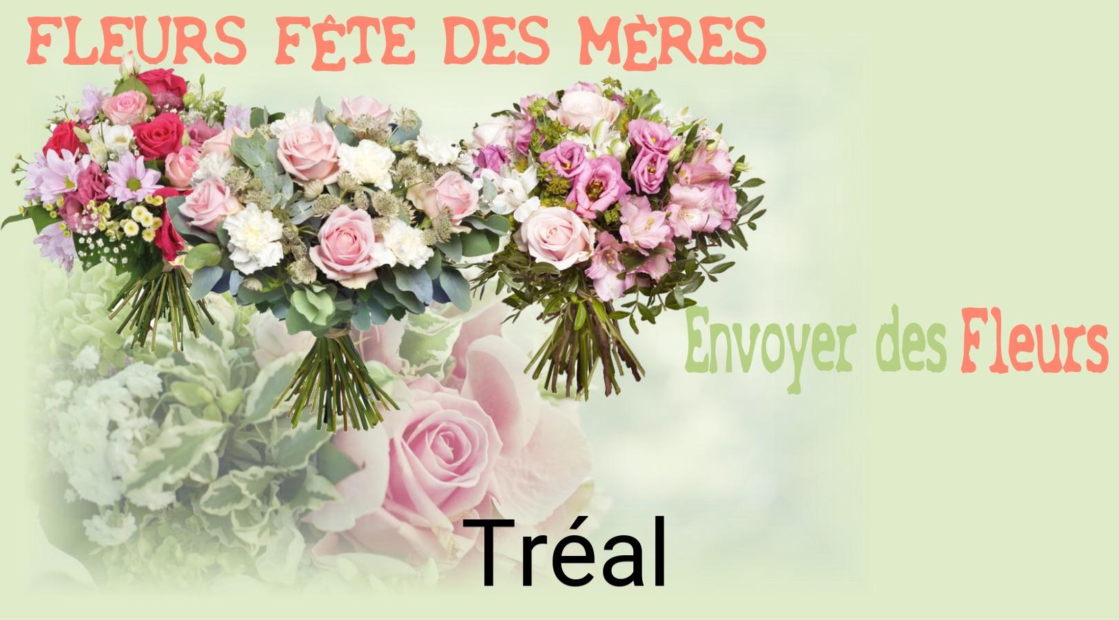 Bouquet de Fête des Mères livré à Tréal